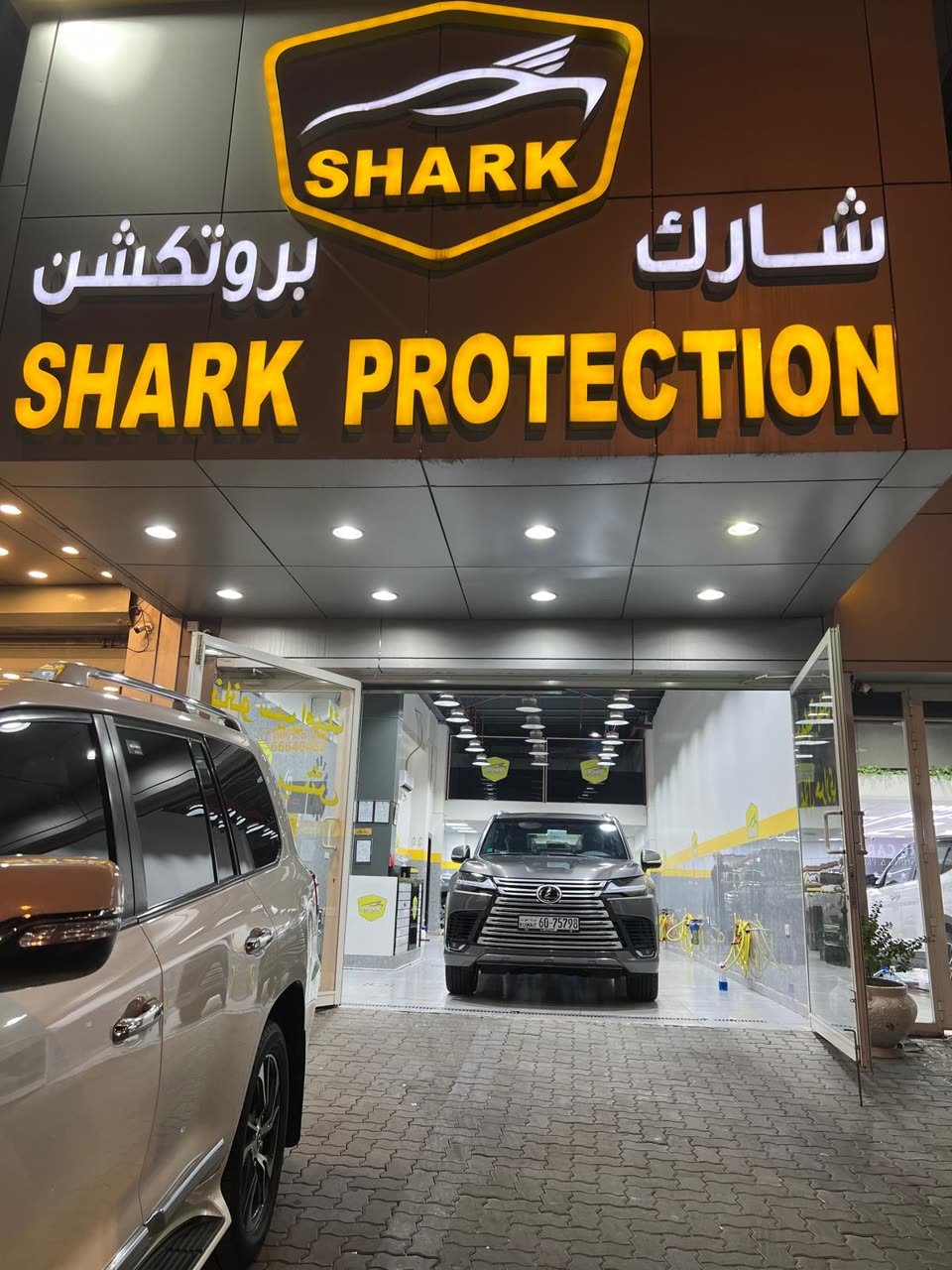 Shark Protection KW storefront at night